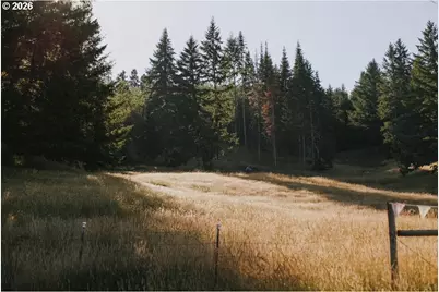 355 Banks Creek Rd, Sutherlin, OR 97479 - Photo 39