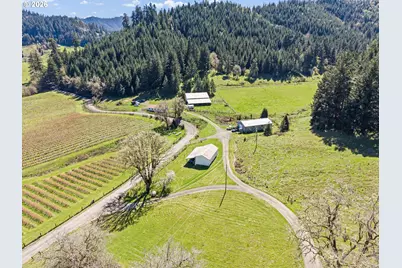 355 Banks Creek Rd, Sutherlin, OR 97479 - Photo 43