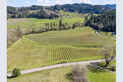 355 Banks Creek Rd, Sutherlin, OR 97479 - Photo 29