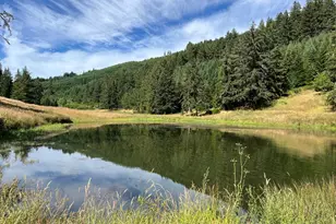 355 Banks Creek Rd, Sutherlin, OR 97479 - Photo 15