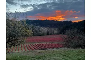 355 Banks Creek Rd, Sutherlin, OR 97479 - Photo 7