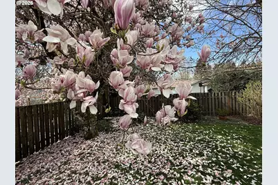 116 Enid Ave, Vancouver, WA 98661 - Photo 33