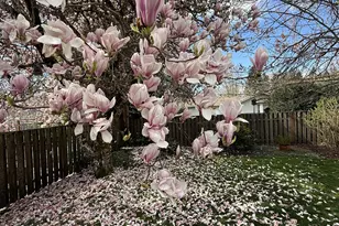 116 Enid Ave, Vancouver, WA 98661 - Photo 33