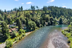 91050 Leashore Dr, Vida, OR 97488 - Photo 45