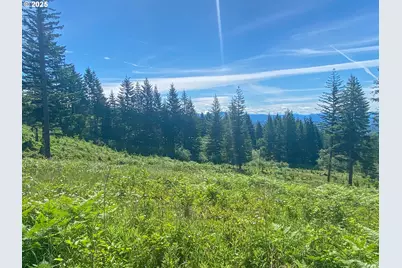 29104 NE Hancock Rd, Camas, WA 98607 - Photo 3