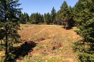 NE Old Parrett Mountain Rd, Newberg, OR 97132 - Photo 3