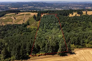 NE Old Parrett Mountain Rd, Newberg, OR 97132 - Photo 29