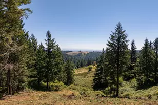 NE Old Parrett Mountain Rd, Newberg, OR 97132 - Photo 7