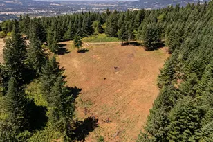 NE Old Parrett Mountain Rd, Newberg, OR 97132 - Photo 13
