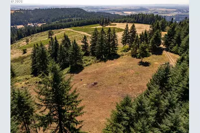 0 NE Old Parrett Mountain Rd, Newberg, OR 97132 - Photo 31