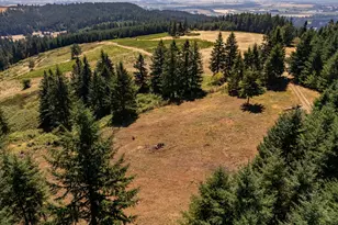 NE Old Parrett Mountain Rd, Newberg, OR 97132 - Photo 31