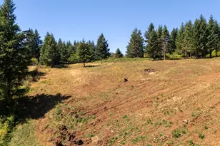 NE Old Parrett Mountain Rd, Newberg, OR 97132 - Photo 21