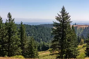 NE Old Parrett Mountain Rd, Newberg, OR 97132 - Photo 25