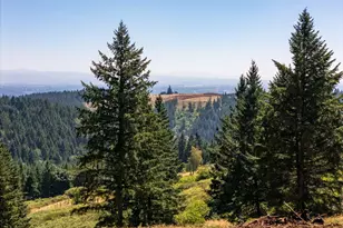 NE Old Parrett Mountain Rd, Newberg, OR 97132 - Photo 9