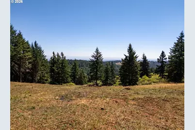 Ne Old Parrett Mountain Rd #2, Newberg, OR 97132 - Photo 5