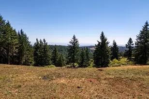 NE Old Parrett Mountain Rd, Newberg, OR 97132 - Photo 5
