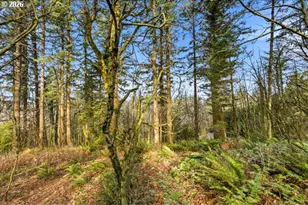0 NW Penridge Rd, Portland, OR 97229 - Photo 15
