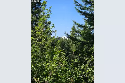 983 Snowden Rd, White Salmon, WA 98672 - Photo 7