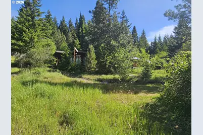 983 Snowden Rd, White Salmon, WA 98672 - Photo 3
