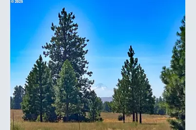 9 Haven Ct, Goldendale, WA 98620 - Photo 1