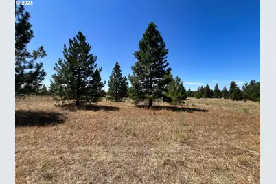 9 Haven Ct, Goldendale, WA 98620 - Photo 5