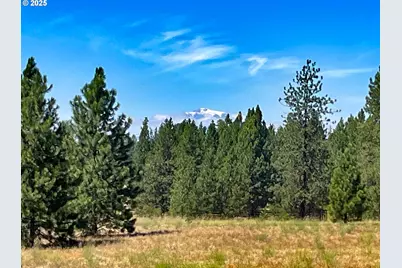 9 Haven Ct, Goldendale, WA 98620 - Photo 3