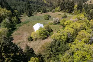 59 Tunnel Rd, White Salmon, WA 98672 - Photo 7