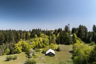 59 Tunnel Rd, White Salmon, WA 98672 - Photo 11