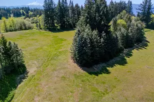 59 Tunnel Rd, White Salmon, WA 98672 - Photo 19