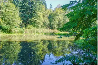 17719 NE Manning Cir, Amboy, WA 98601 - Photo 9