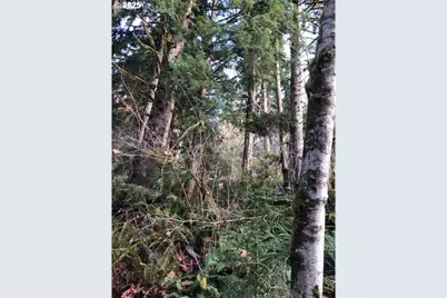 17719 NE Manning Cir, Amboy, WA 98601 - Photo 39