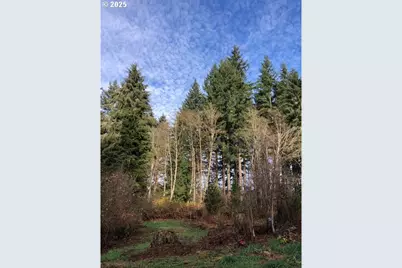 17719 NE Manning Cir, Amboy, WA 98601 - Photo 33