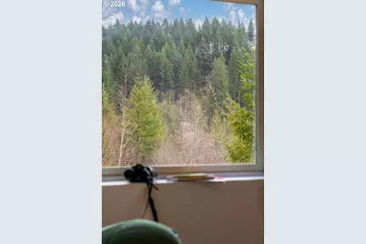 38220 NE Sunset Falls Rd, Yacolt, WA 98675 - Photo 9