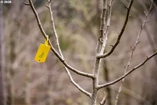 38220 NE Sunset Falls Rd, Yacolt, WA 98675 - Photo 35