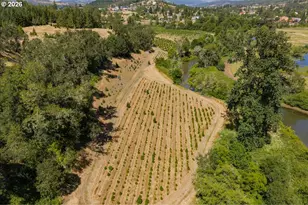 106 Green Valley Rd, Oakland, OR 97462 - Photo 47