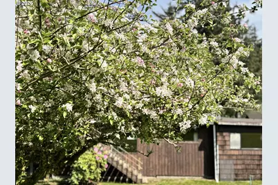 735 3rd Ave, Gearhart, OR 97138 - Photo 13