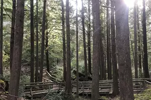 199 SW The Pines Dr, Depoe Bay, OR 97341 - Photo 37