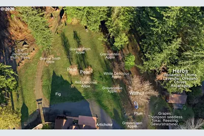 49164 McKenzie Hwy, Vida, OR 97488 - Photo 37