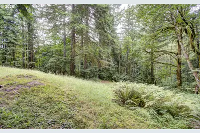 20301 NE 225th Ave, Brush Prairie, WA 98606 - Photo 41