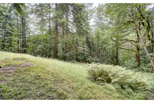 20301 NE 225th Ave, Brush Prairie, WA 98606 - Photo 41