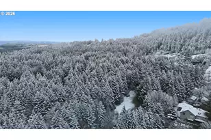 25115 NE Albertson Rd, Hillsboro, OR 97123 - Photo 39