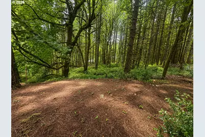 25115 NE Albertson Rd, Hillsboro, OR 97123 - Photo 5