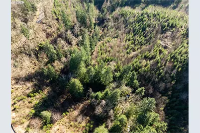 43902 NE Columbia Tie Rd, Amboy, WA 98601 - Photo 17