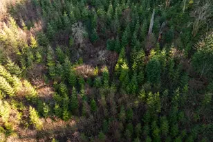 43902 NE Columbia Tie Rd, Amboy, WA 98601 - Photo 21