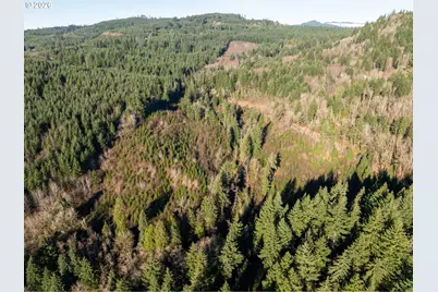 43902 NE Columbia Tie Rd, Amboy, WA 98601 - Photo 15