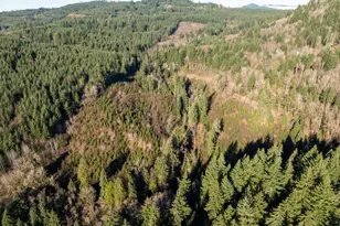 43902 NE Columbia Tie Rd, Amboy, WA 98601 - Photo 15