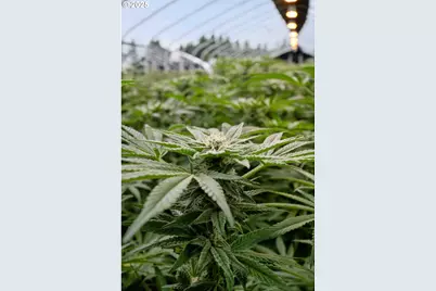 40809 SE Trubel Rd, Sandy, OR 97055 - Photo 29