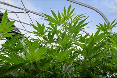 40809 SE Trubel Rd, Sandy, OR 97055 - Photo 27