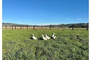 23625 S Hwy 99W, Amity, OR 97101 - Photo 25