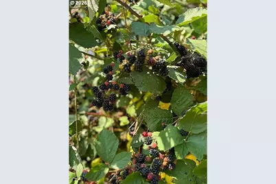 23625 S Highway 99W, Amity, OR 97101 - Photo 31